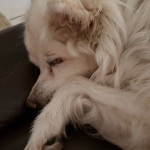 Meet your Posher, Brenda